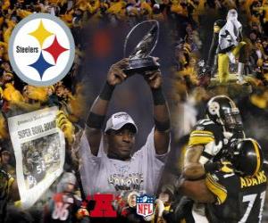 yapboz Pittsburgh Steelers AFC şampiyonu 2010-11